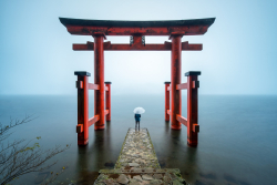 Tax-Dodging Cardano (ADA) Traders Come Under Scrutiny in Japan