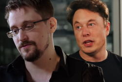 Elon Musk Laughs at Edward Snowden's Tweet Series about SHIB and Dogecoin