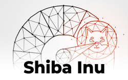 Shiba Inu Network Activity Drops to Summer Levels