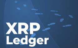 XRP Ledger Is Back on Track After Temporary Halt