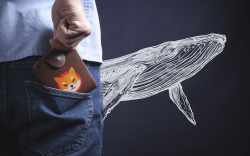 Whale Wallets Holding Billions of SHIB Now Watched by Crypto Sleuths