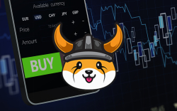 BNB Whale Buys $3.4 Million Worth of FLOKI
