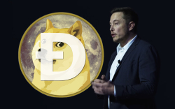Elon Musk Supports Dogecoin Co-Founder in His Twitter Tirade Against Hype in Crypto