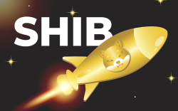 SHIB Enters Top Five Coins by Daily Trading Volume Following 40% Price Surge