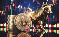 Here's How RSI Can Predict Bitcoin Bull Run Peak: Analyst