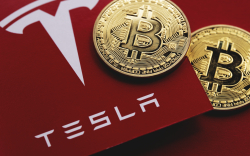 Elon Musk Considering Selling $25 Billion Worth of Tesla Stock. Michael Saylor Wants Him to Buy Bitcoin