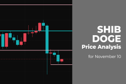 SHIB and DOGE Price Analysis for November 10
