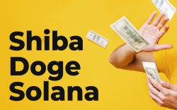 Here's How Much $1,000 Invested in Shiba, Doge or Solana a Year Ago Would Be Worth Now