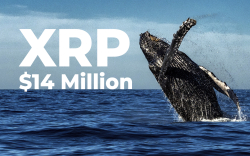 XRP Whale Moves $14 Million from Exchange