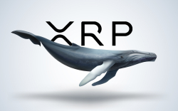 $100 Million Worth of XRP Transferred from Unknown Wallet to Exchange