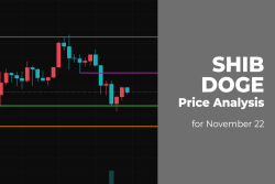 SHIB and DOGE Price Analysis for November 22