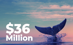 New SHIB Whale Buys Dip with $36 Million Entry
