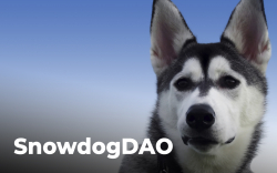 SHIB Competitor SnowdogDAO Allegedly Falls Victim to Largest Rug-Pull in Avalanche History