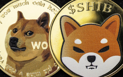 Shiba Inu and Dogecoin Have No Value, Says Real “Wolf of Wall Street”