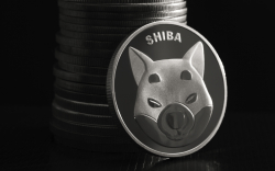 Shiba Inu Faces 5% Correction After Spiking by 40%, But Fundamental Growth Is Still Going Strong