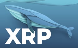 XRP Whale Withdraws 150 Million Coins from Binance
