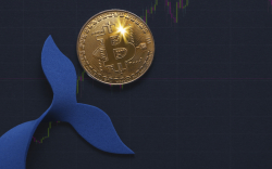 Bitcoin Whales Accumulated $3.3 Billion Worth of Coins During This Market Dip