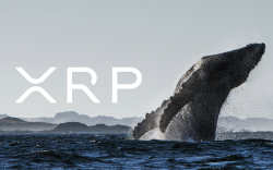 XRP Whales Accumulated 190 Million Coins in Last 3 Months