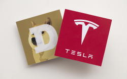Elon Musk: DOGE to Be Accepted by Tesla for Merch "to See How It Goes"