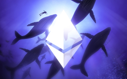 Top 10 Non-Exchange ETH Whales Hold Way More ETH Than Top Exchange Wallets