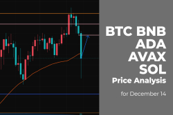 BTC, BNB, ADA, AVAX and SOL Price Analysis for December 14