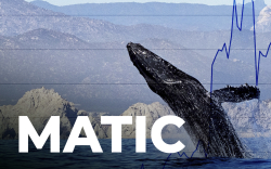 MATIC Rises 8% as Ethereum Whale Buys 1 Million Tokens