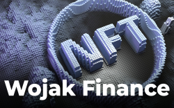 Wojak Finance DeFi Shares Details of Its NFT Program