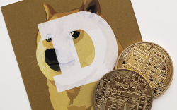 It's Bizarre Elon Musk Still Obsessed with DOGE, Peter Schiff's Son Says, Here's Why