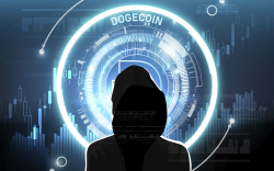 $850 Million Worth of Doge Transferred Anonymously Before Elon Musk's Announcement