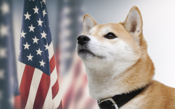 Dogecoin Creator and Elon Musk Team Up to Criticize US Government