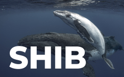 Shiba Inu Whales Lose More Than $150 Million in 24 Hours: Potential Reasons