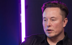 Elon Musk Trolls NFT Skeptics in Music Industry