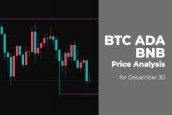 BTC, ADA and BNB Price Analysis for December 30