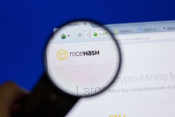 Shiba Inu Now Supported by NiceHash's Exchange