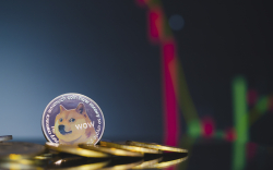 Dogecoin Turns Most-Traded Coin for Biggest 1,000 BSC Whales: Report