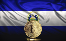 El Salvador Loses Almost 15% as Bitcoin Retraces to $43,000