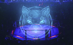 Shiba Inu to See Investment from Former UFC Light-Heavyweight Champion: Details