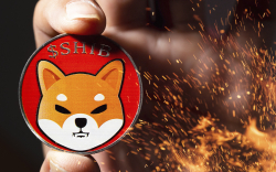 7.1 Million SHIB Burned Over 24 Hours, While 140 Million Destroyed in Past Week