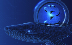 Whale Transactions Are Dropping on Bitcoin Network, But Here Is a Positive Sign
