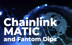 Large Investors Purchase Chainlink, MATIC and Fantom Dips as Altcoin Prices Rebound