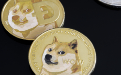 407.4 Million DOGE Shifted Between Anonymous Wallets