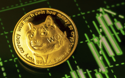 Dogecoin Up 5.30% in Past 24 Hours as It Is Back Among Top Purchased Coins by Whales