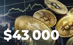 Bitcoin Soars Above $44,000 as Market Sentiment Recovers