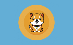 BabyDoge Up 13% on CoinEx Listing, Token Now Held by Over 1.275 Million Users