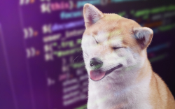 Shiba Inu Dev Teases Big Idea That Might Shake Crypto Space as SHIB Price Settles