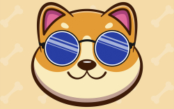 BabyDoge Holder Number Spikes to New Record of 1.325 Million