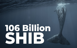 Two ETH Whales Buy 106 Billion SHIB Amid Token Price Decline