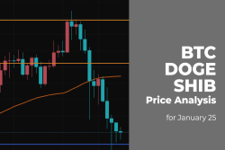 BTC, DOGE and SHIB Price Analysis for January 25