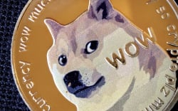 Businesses Accepting Doge Can Be Achieved as Follows: Dogecoin Cofounder