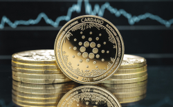 Cardano Whales Are Continuously Accumulating Despite Asset's 34% Drop